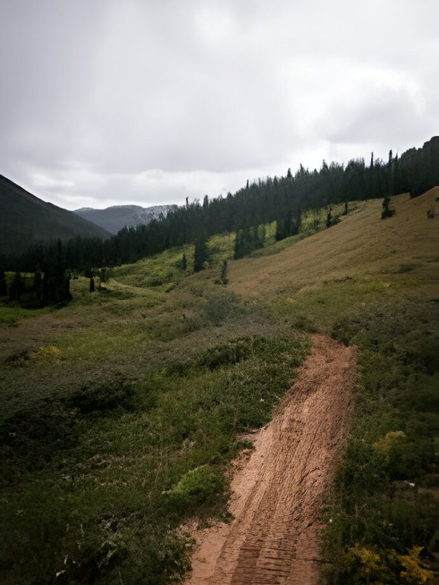 Taylor Park Colorado dirt bike trail near me
