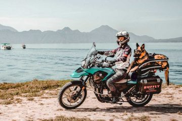 Motorcycle Travel with Pets: How RidingMoto Helps You Travel Safely with Your Furry Companion
