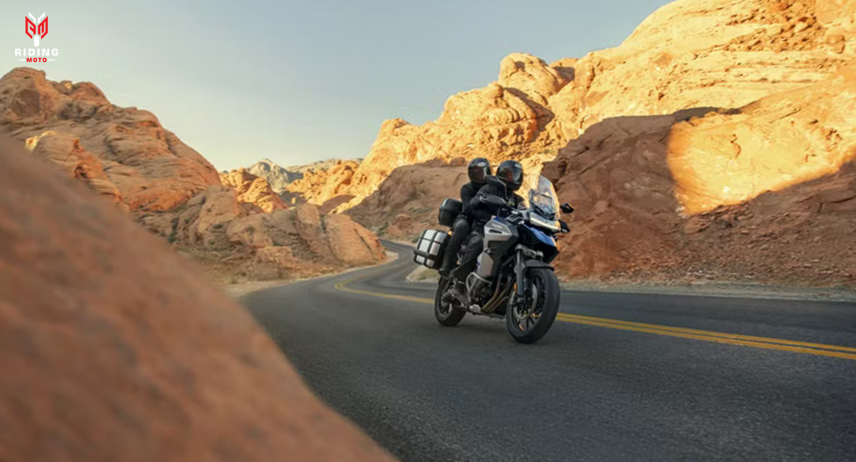 Gears, Tires & Throttle: The Evolution of Touring on Two Wheels with the Street Glide