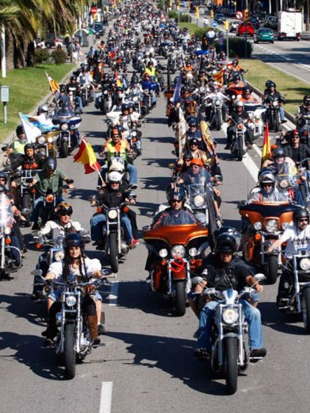 Iron Order: Lawful Riders