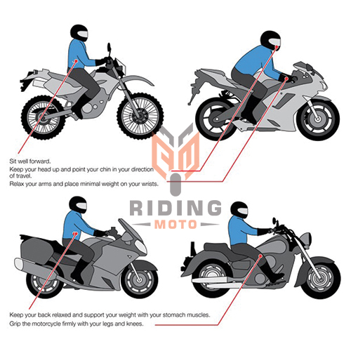 Off-Road Riding Tips for Adventure Seekers 3 Understand the Riding Technique